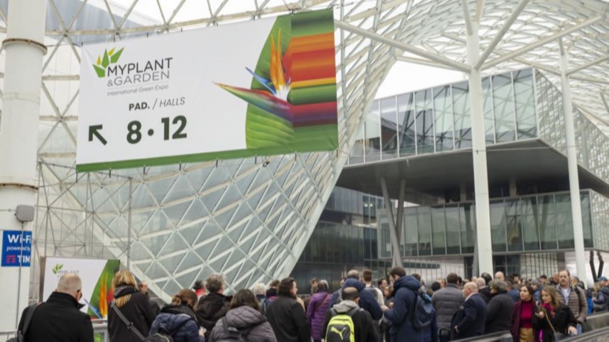 Myplant1202 nr 1|myplant 1|Myplanta gente fotos 2|Myplanta gente fotos 2|Myplanta sr con chaqueta|Myplanta gente fotos 2|myplanta sala de atras